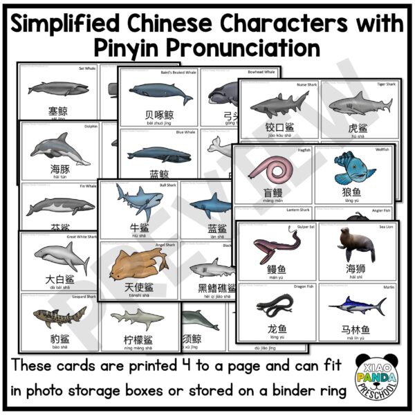Ocean Animal Flash Cards - Simplified Chinese - Image 2