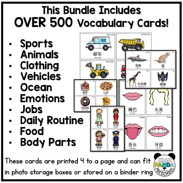 Simplified Chinese Flash Card BUNDLE 500+ Cards - Image 2