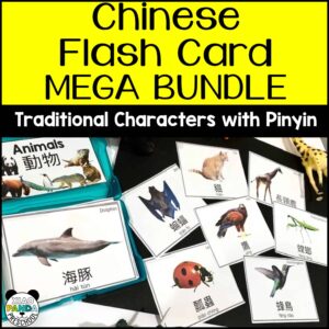 Traditional Flash Card BUNDLE, 500+ Cards