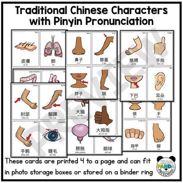 Body Part Flash Cards - Traditional Chinese - Image 2