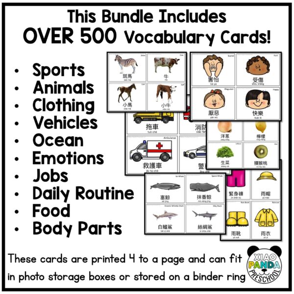 Traditional Flash Card BUNDLE, 500+ Cards - Image 2